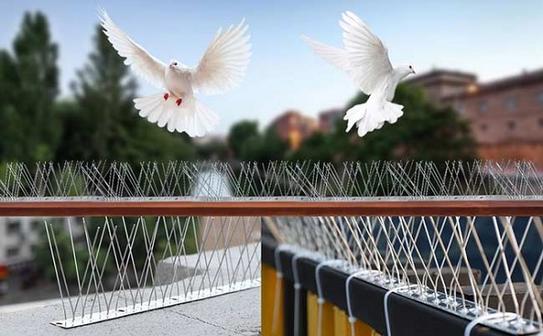 شاخک ضد پرنده