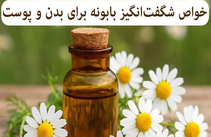 خواص شگفتانگیز بابونه برای بدن و پوست