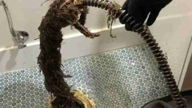 لوله بازکنی