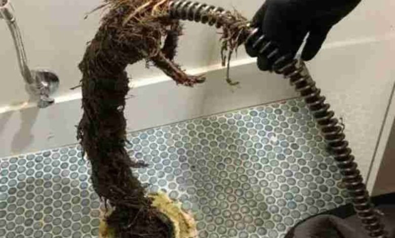 لوله بازکنی