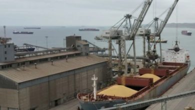 نمای هوایی از بندر تجاری با کشتی فله‌بر در حال تخلیه نهاده، جرثقیل‌های ساحلی، سیلوهای ذخیره غلات و کامیون‌های حمل بار؛ تصویری از گلوگاه‌های لجستیک خوراک دام از بندر تا انبار.