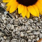 C:UsershpDownloadssunflower-seeds-benefits.jpg