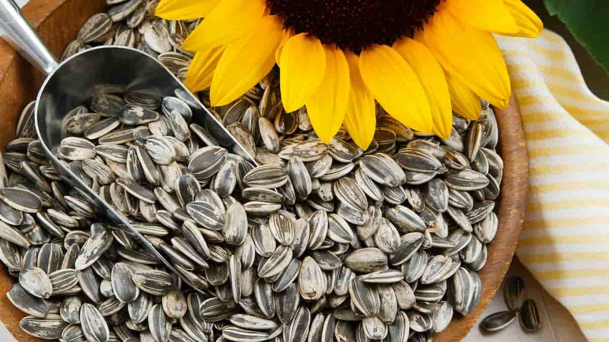 C:UsershpDownloadssunflower-seeds-benefits.jpg