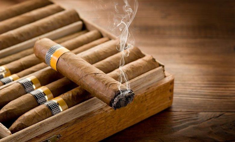سیگار کوبایی چگونه ساخته میشود؟ از کشت تنباکو تا تولید سیگار برگ