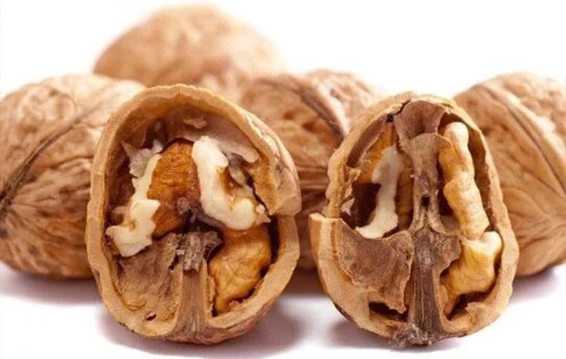 آجیل و خشکبار ارگانیک؛ بازار جدید و تقاضای رو به رشد