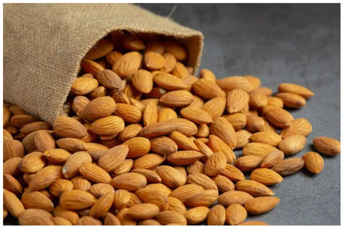 آجیل و خشکبار ارگانیک