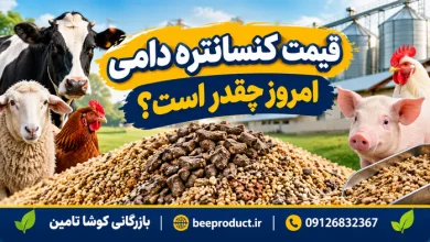 قیمت هر کیلو کنسانتره گوسفندی چقدر است؟ بررسی قیمت روز و عوامل مؤثر بر آن