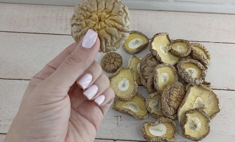 اهمیت مصرف قارچ شیتاکه برای زگیل تناسلی