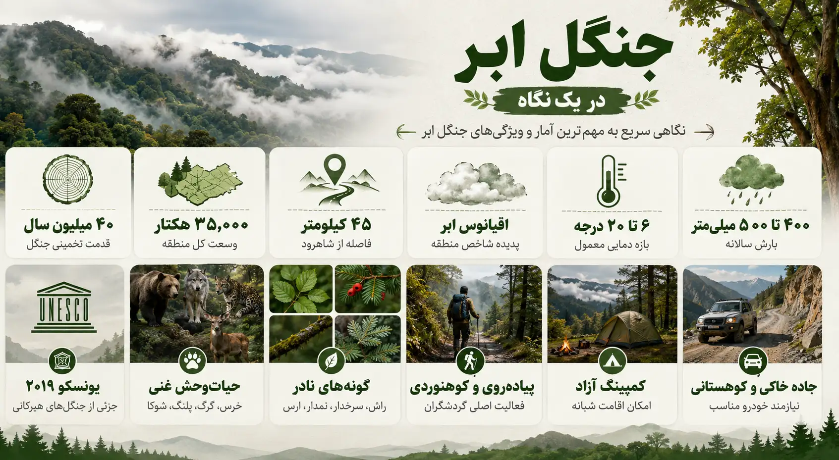 جنگل ابر
