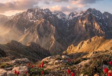 میراث دفاع مقدس و پاسداشت هویت ملی ایران در پایگاه مجاهدت